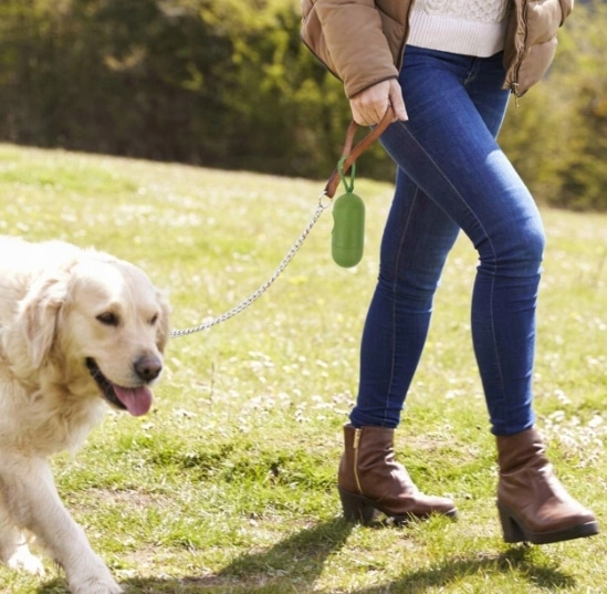 WORECZKI WORKI BIODEGRADOWALNE NA PSIE ODCHODY 255 szt + ZIELONE ETUI - obrazek 8